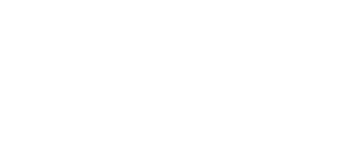 logo Sindem bianco
